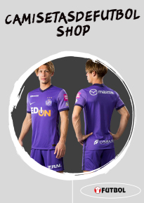 Sanfrecce Hiroshima camiseta 22-23